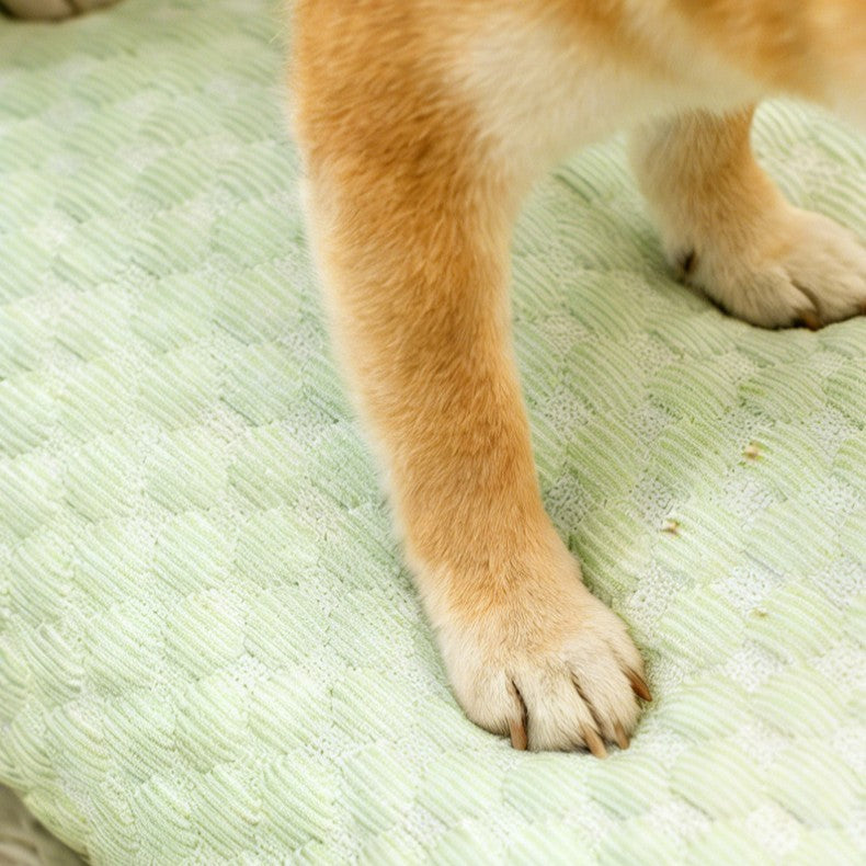 The Cooling Pet Sofa