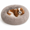 The Cloud Bed