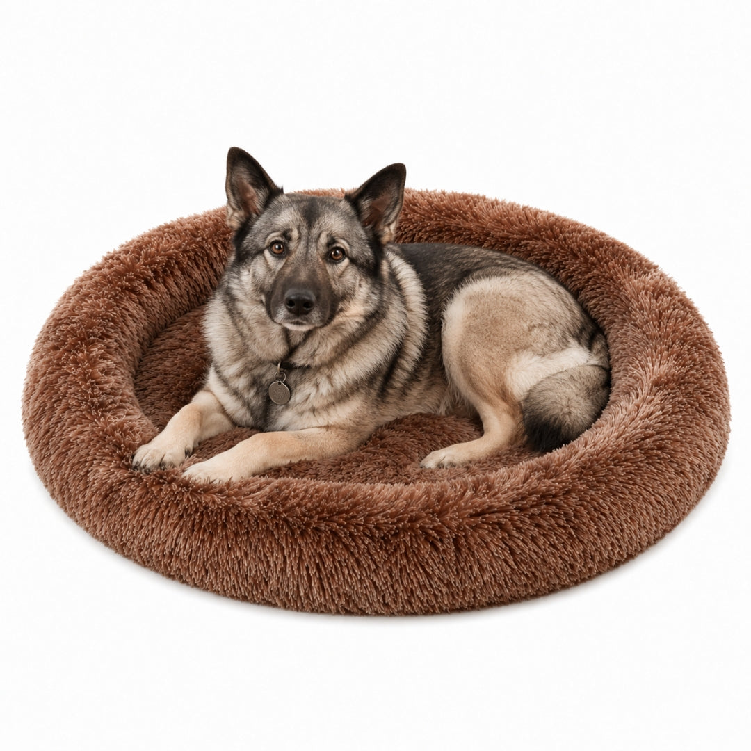 The Fluffy Bed