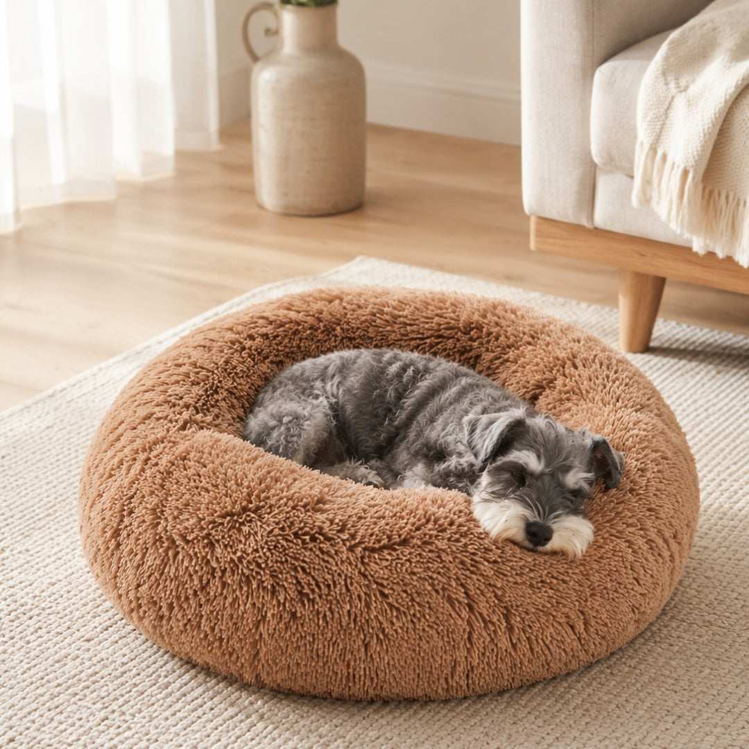 The Fluffy Bed