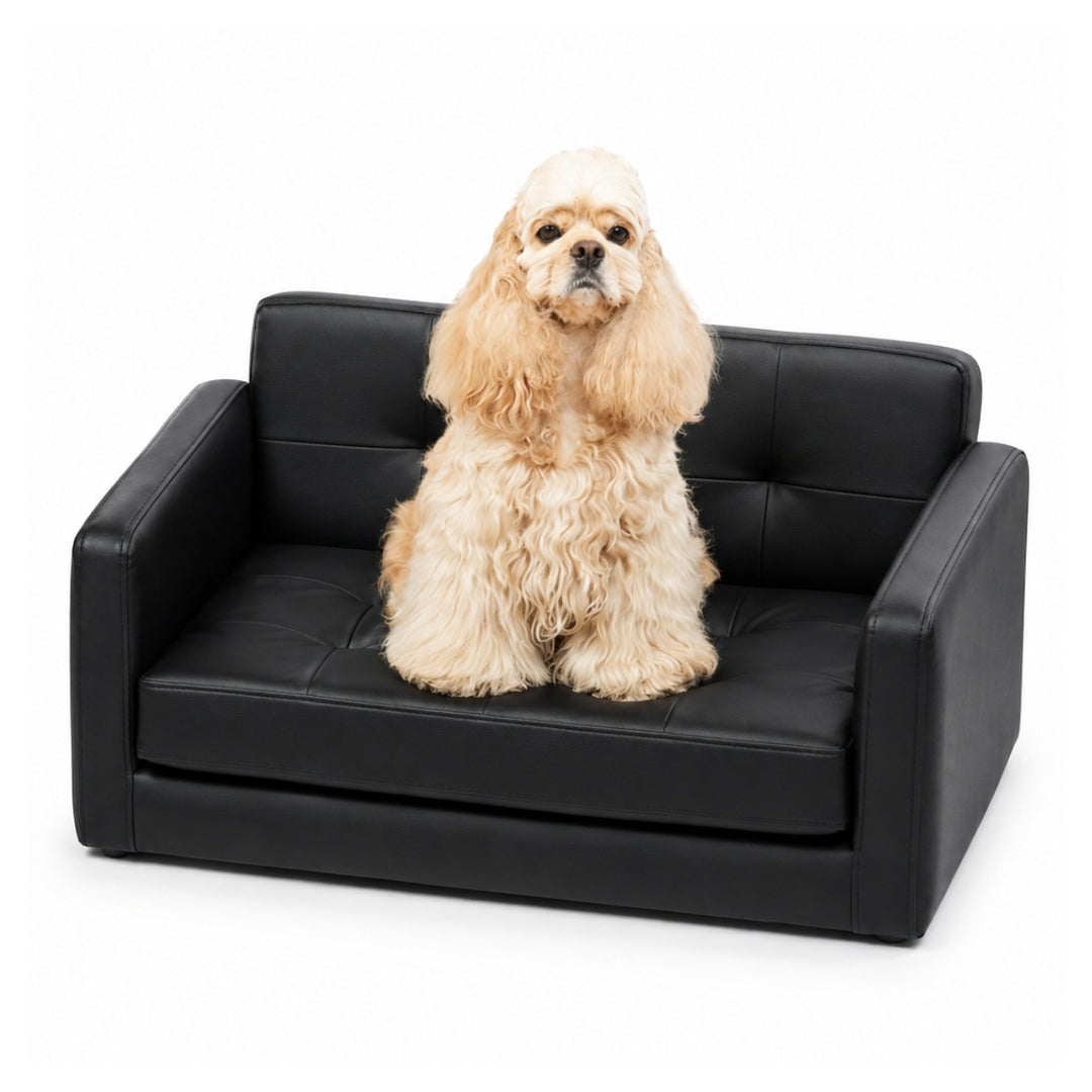 The Pet Lounge