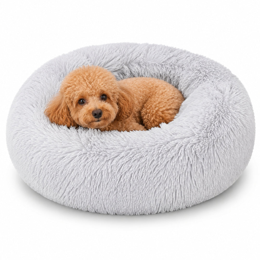 The Cloud Bed
