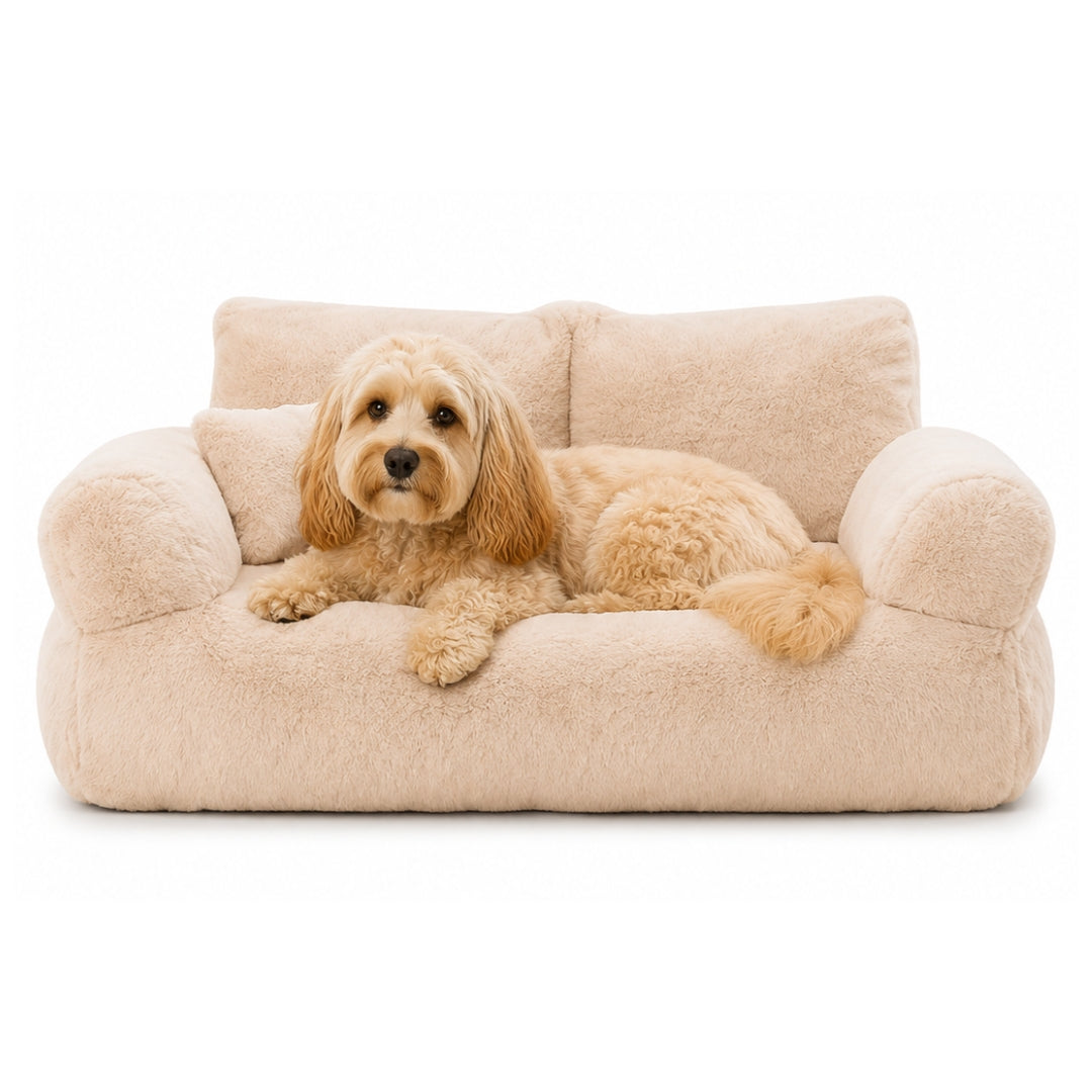 The Fluffy Sofa
