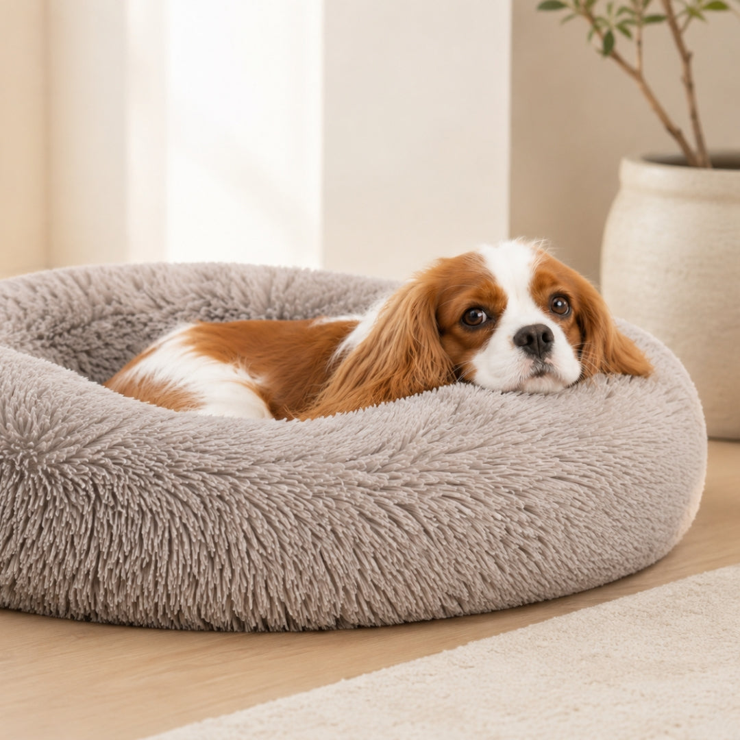 The Fluffy Bed