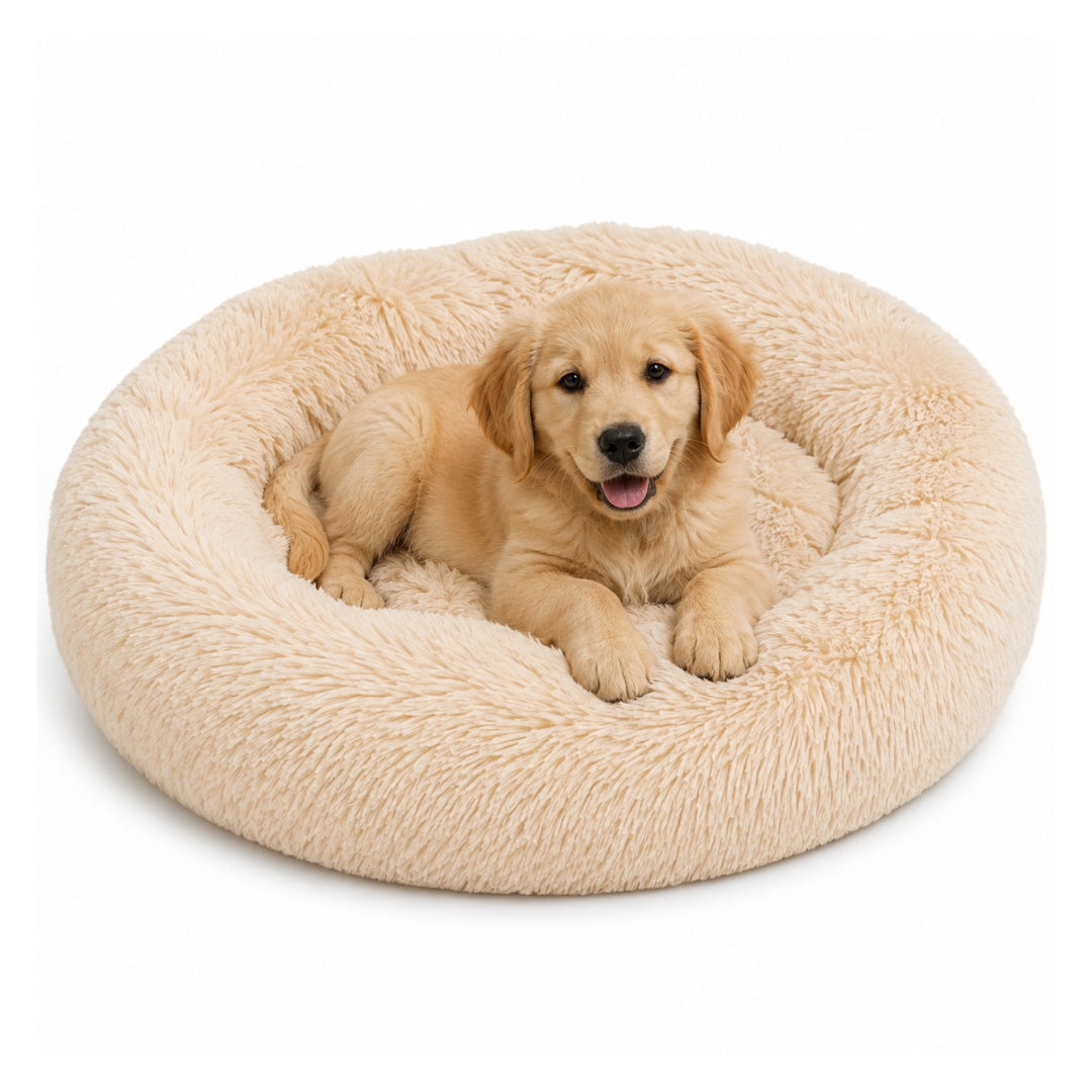 The Cloud Bed