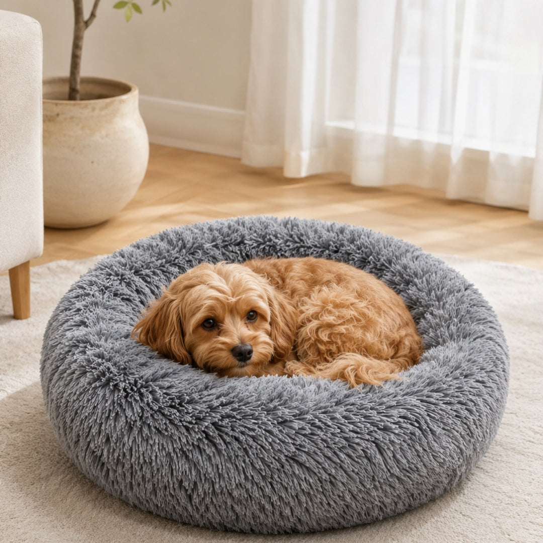 The Fluffy Bed