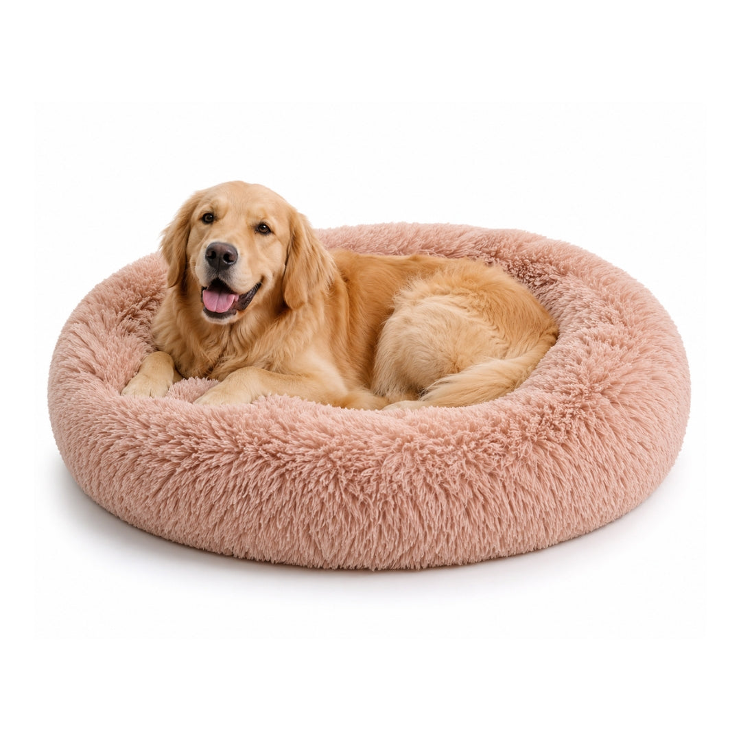 The Cloud Bed