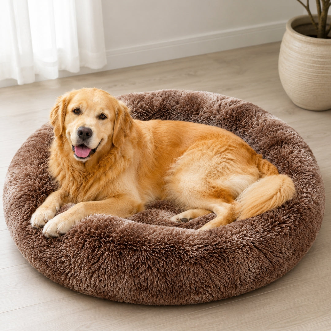 The Fluffy Bed