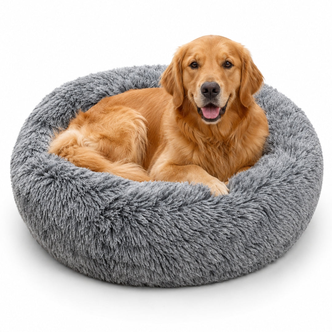 The Cloud Bed