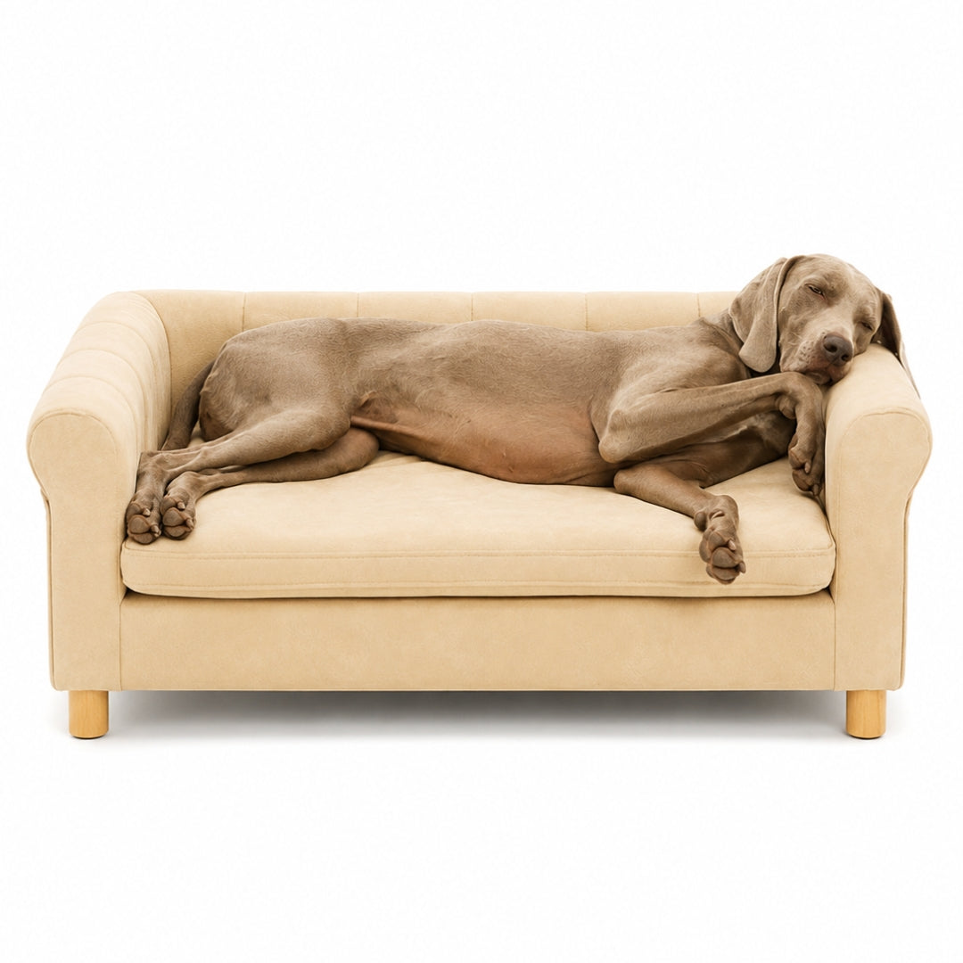 The Big Pet Sofa