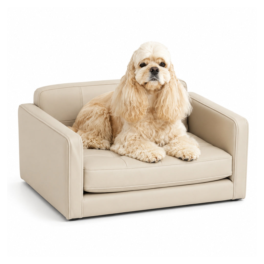 The Pet Lounge