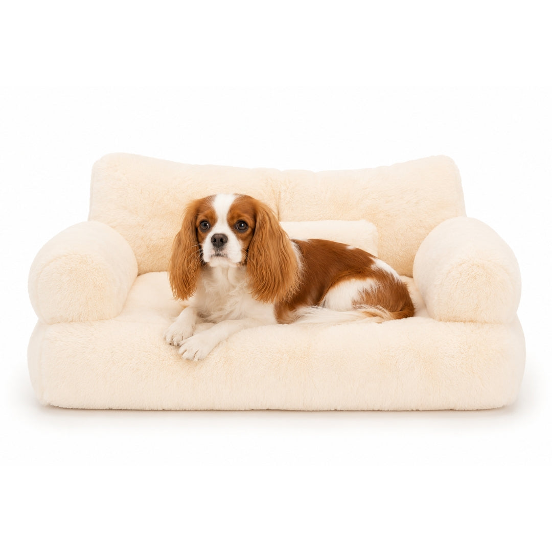 The Fluffy Sofa
