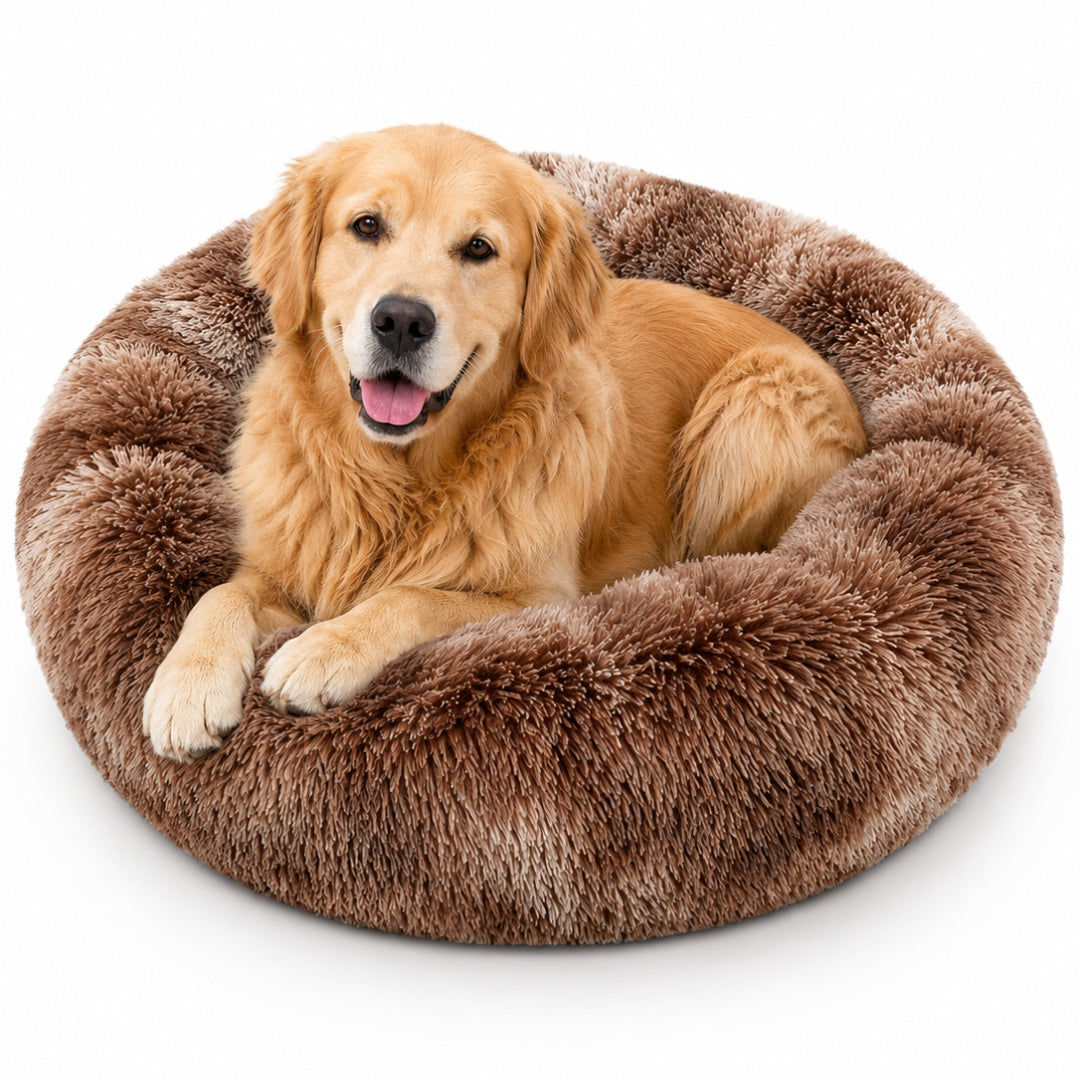 The Cloud Bed