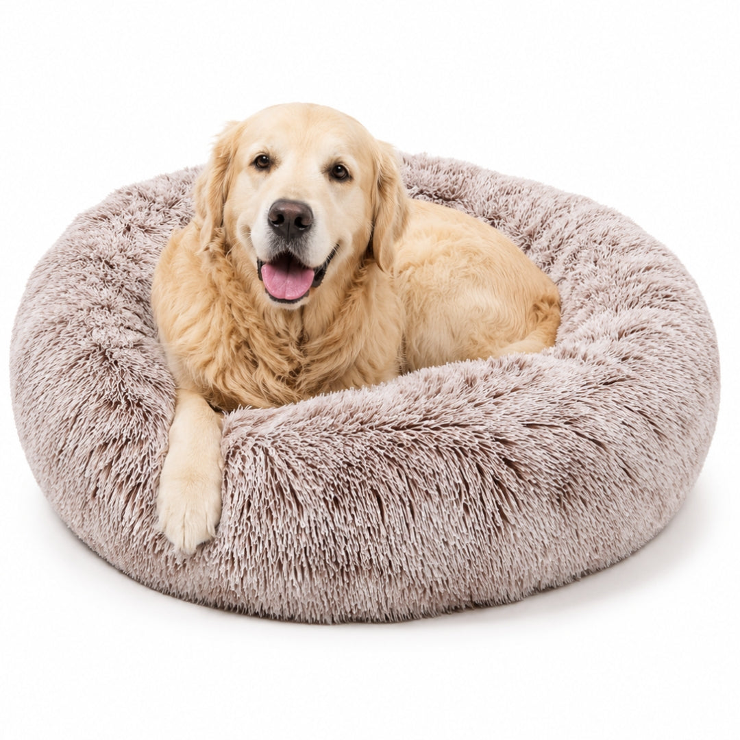 The Cloud Bed