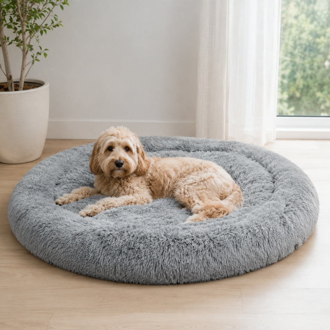 The Fluffy Bed