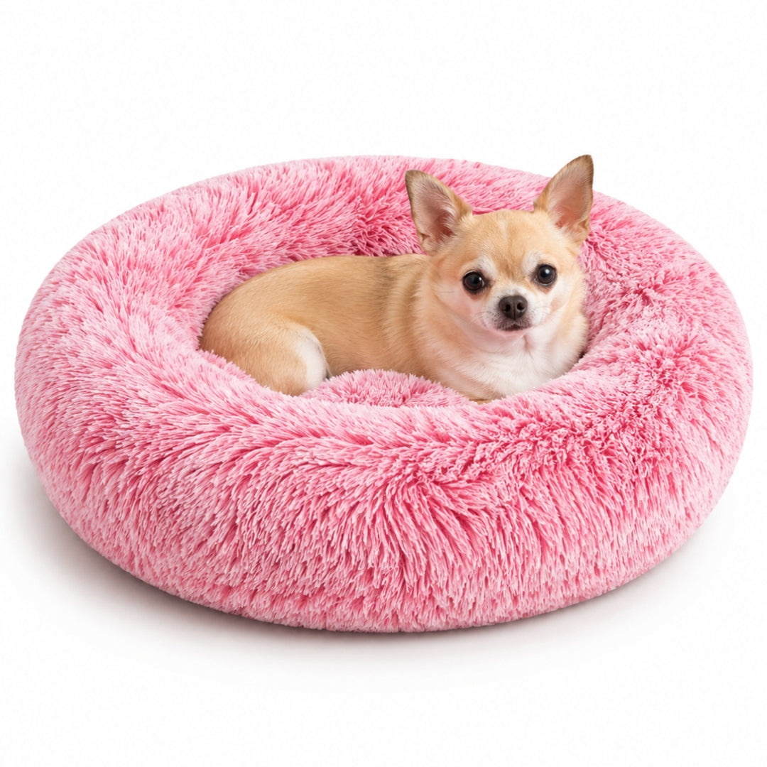 The Cloud Bed