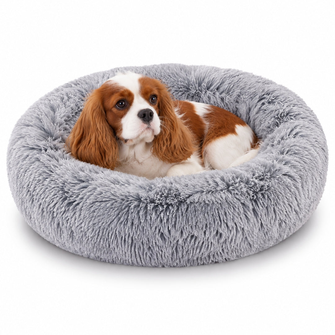 The Cloud Bed