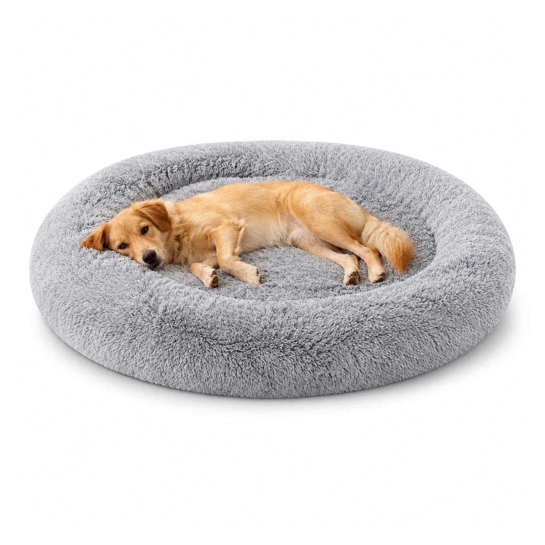 The Fluffy Bed