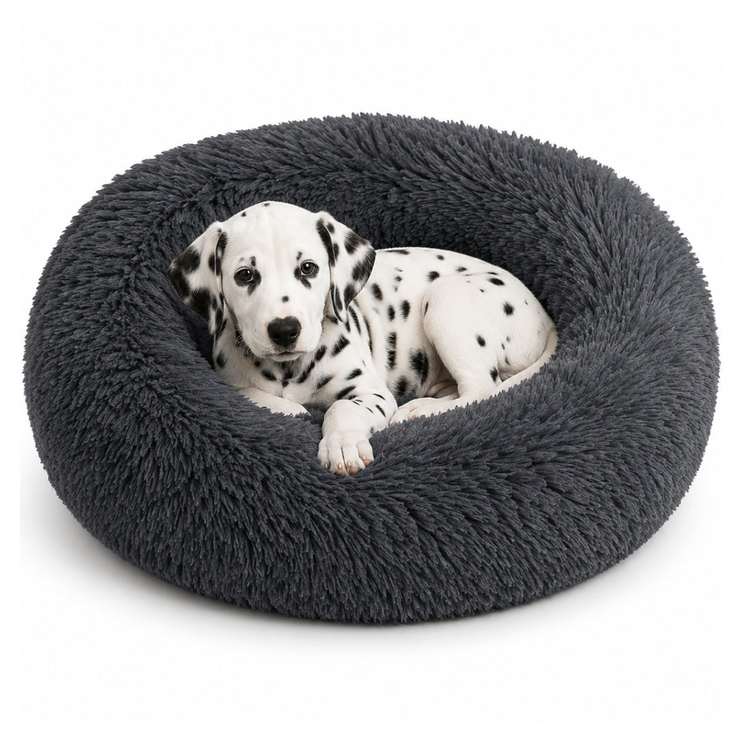 The Cloud Bed
