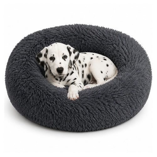 The Cloud Bed